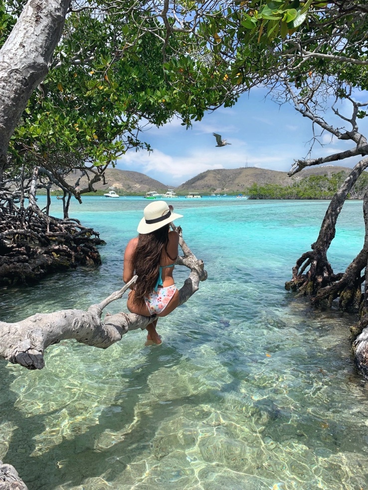 Cayo Enrique view