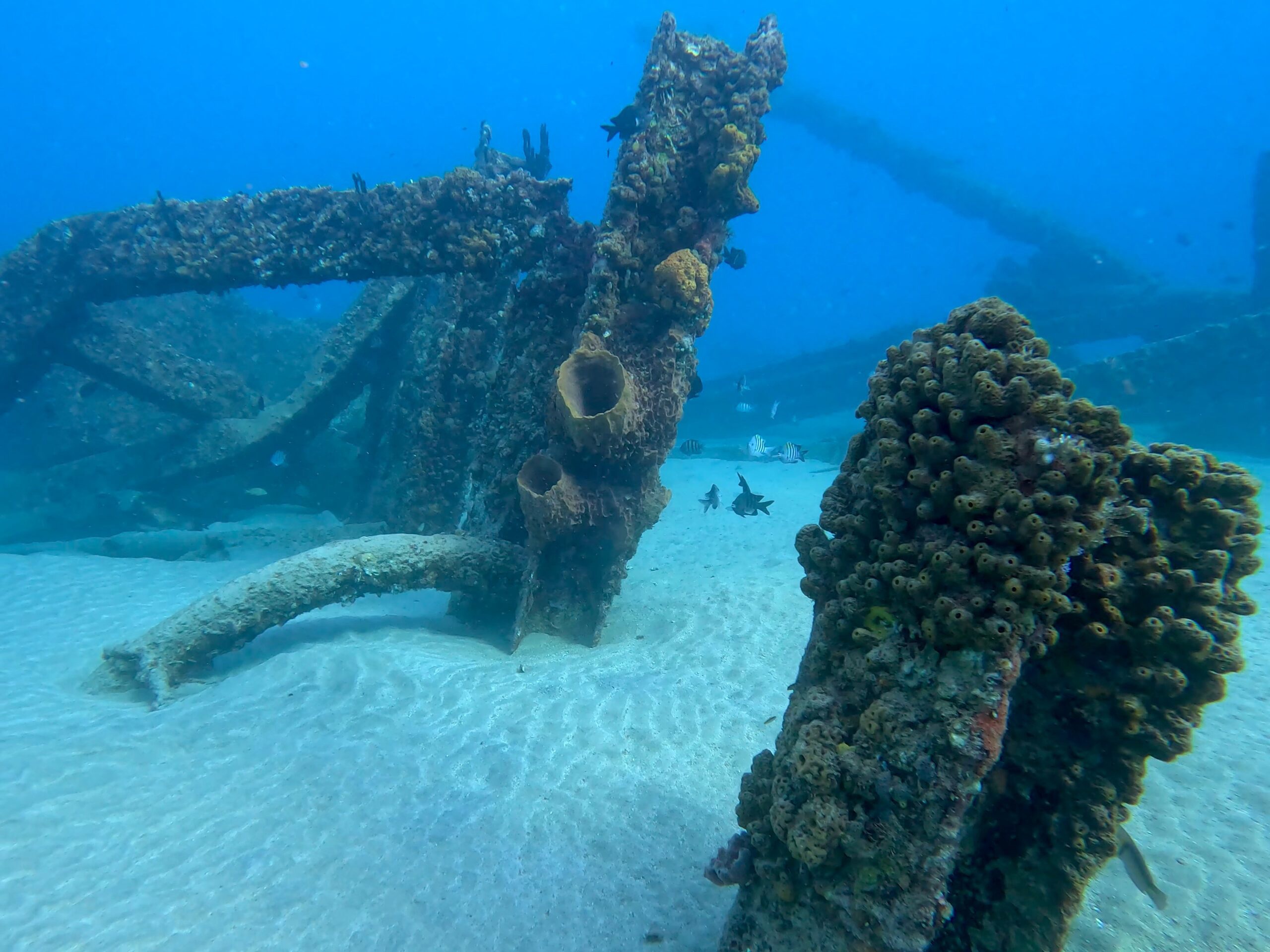 Crash Boat underwater