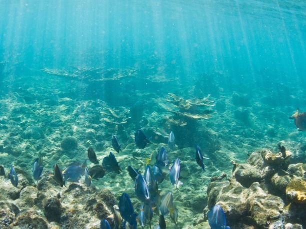 Steps Beach underwater
