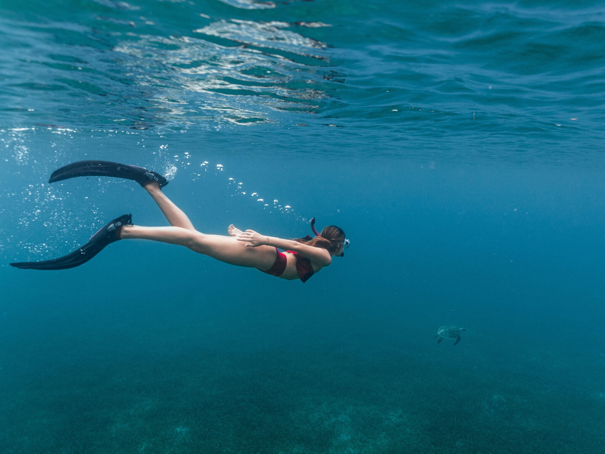 Tamarindo underwater