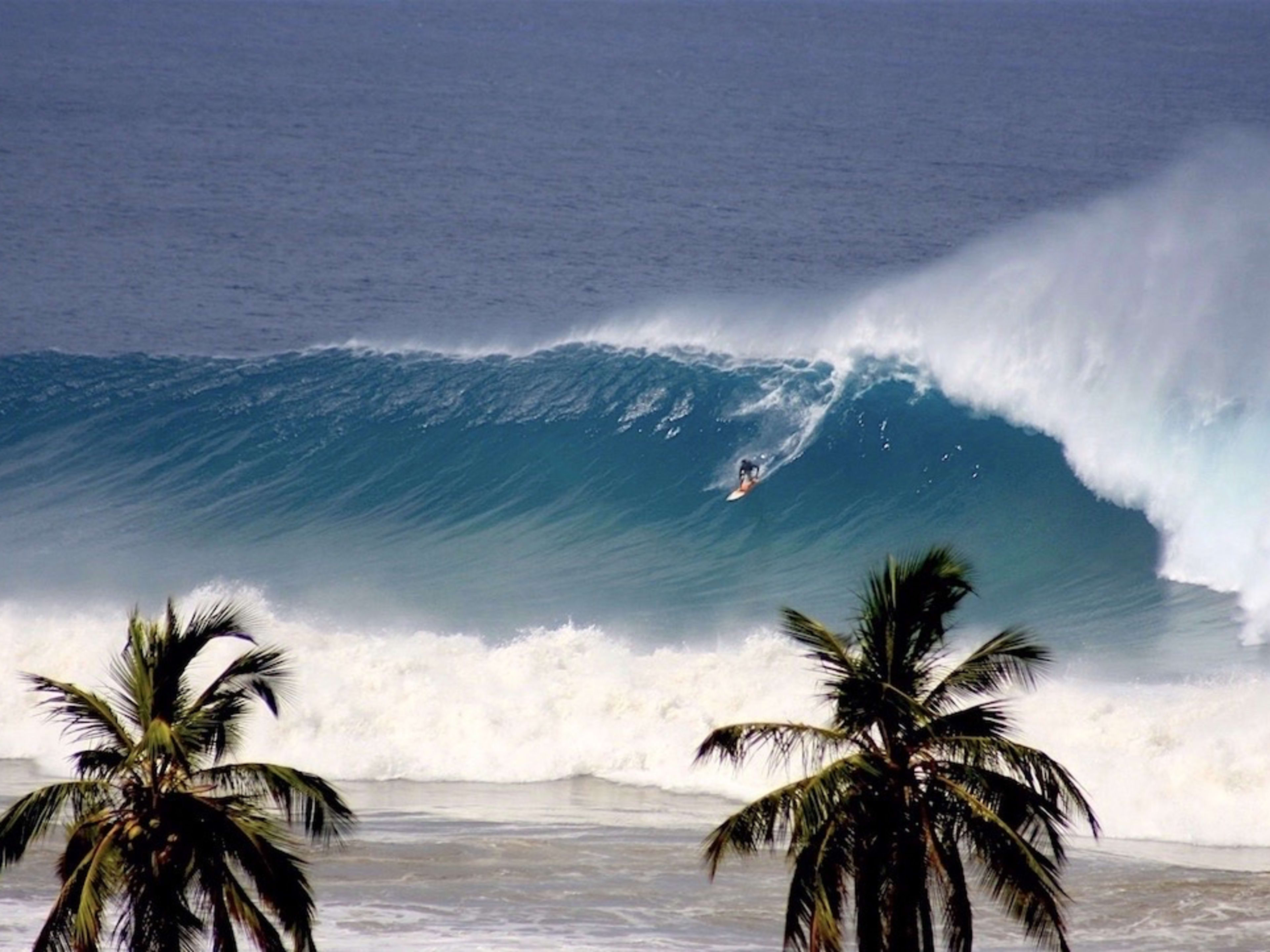 Surfing beach 1