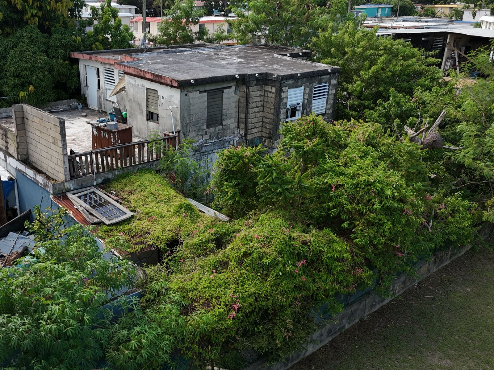 Backyard patio remodel 1